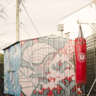A grass lawn and boxing bag in front of a vibrantly painted shed.