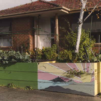 Painted planter boxes growing vegetables and herbs with a resident unit in the background.