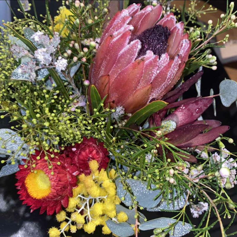 Individual and community mental health support