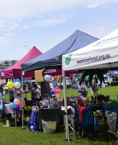 A line of colourful stalls at the Neami Community Cup.